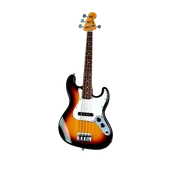Bass Guitar